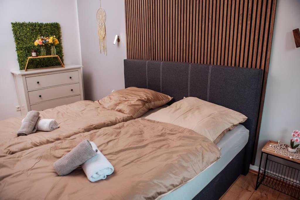 Sunny & Cozy - Netflix - Wifi - City - 4 Person 에센 외부 사진